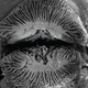 This scanning electron microscope image shows a close-up of the mouth of a tubelip wrasse with self-lubricating lips. Image: Victor Huertas and David Bellwood